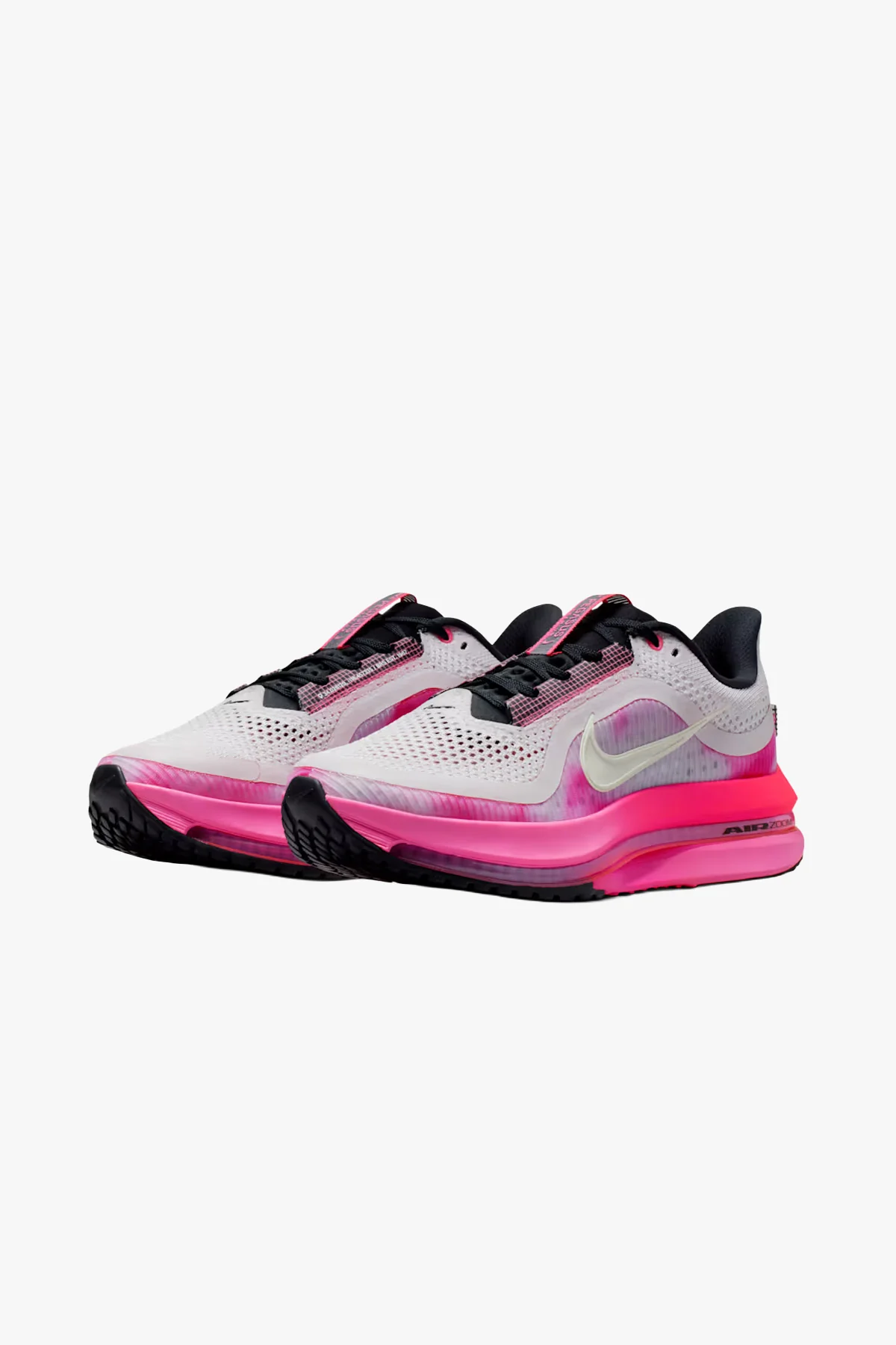 Pegasus Premium - Image 2
