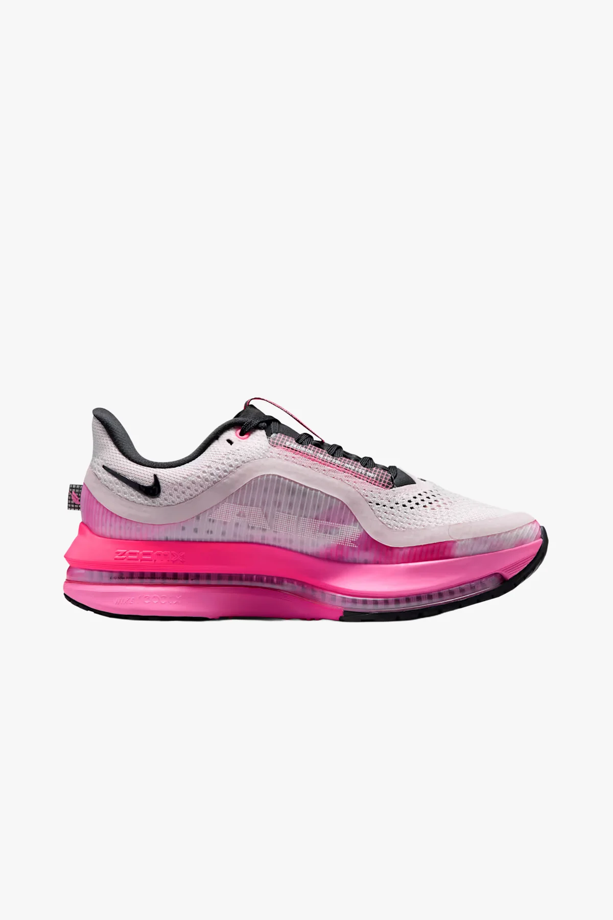 Pegasus Premium - Image 4