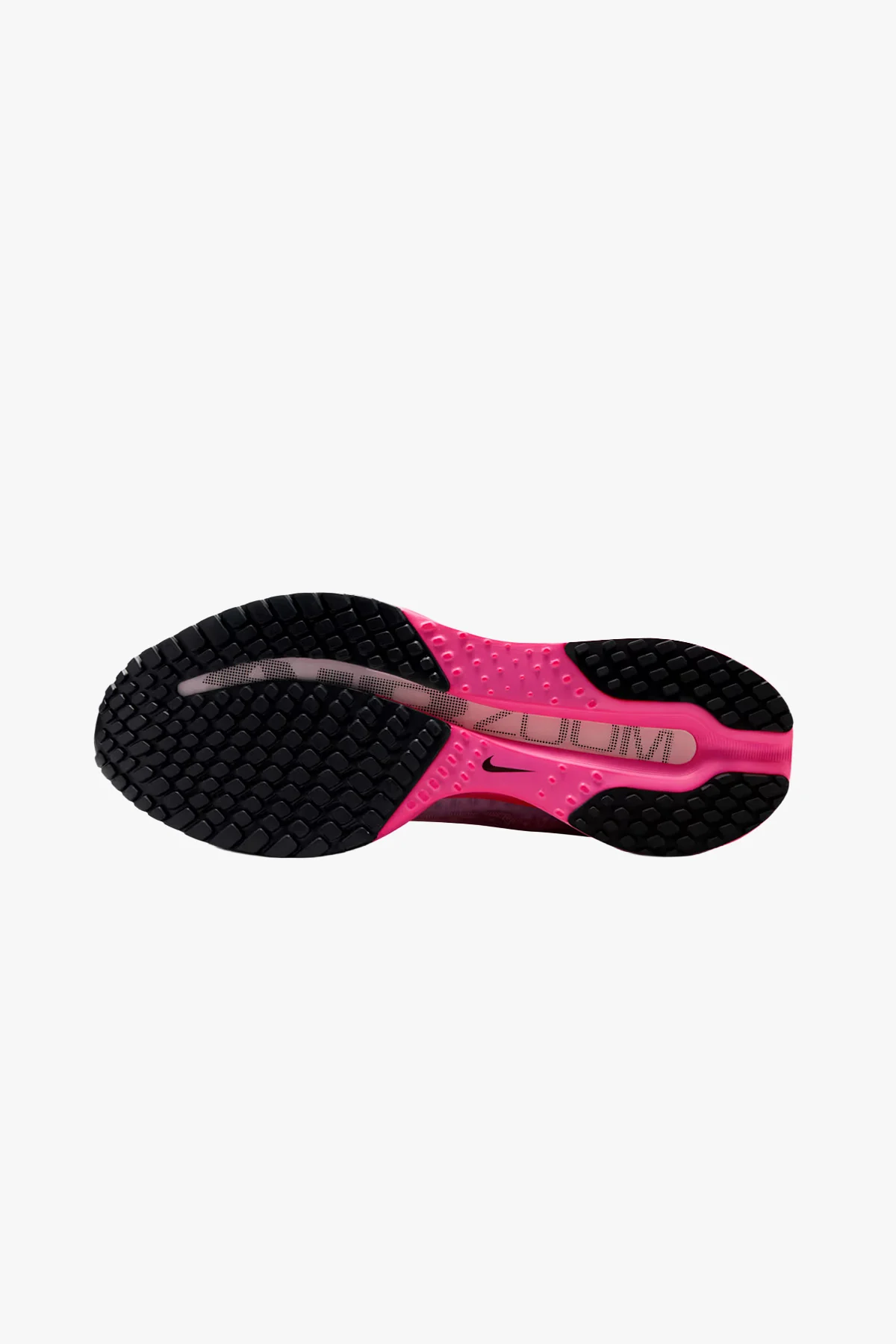 Pegasus Premium - Image 6