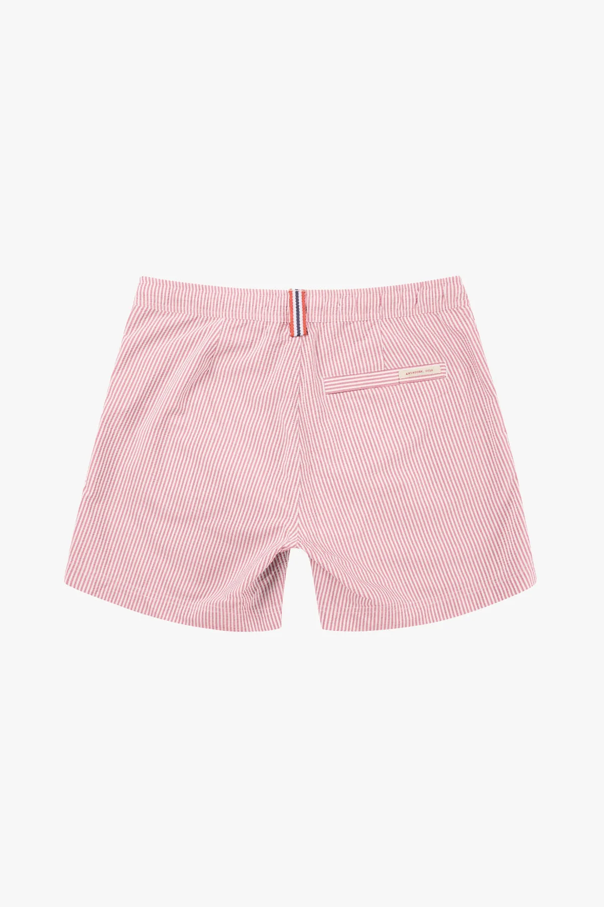 5INCHER SOAK SWIM TRUNK MENS - Image 4
